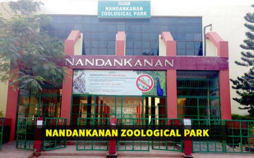 nandan
